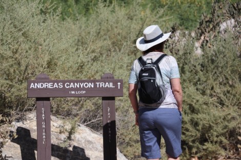 IMG_0033 (kopie).JPG